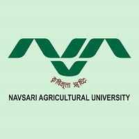 NAU Navsari