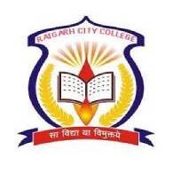 Raigarh City College