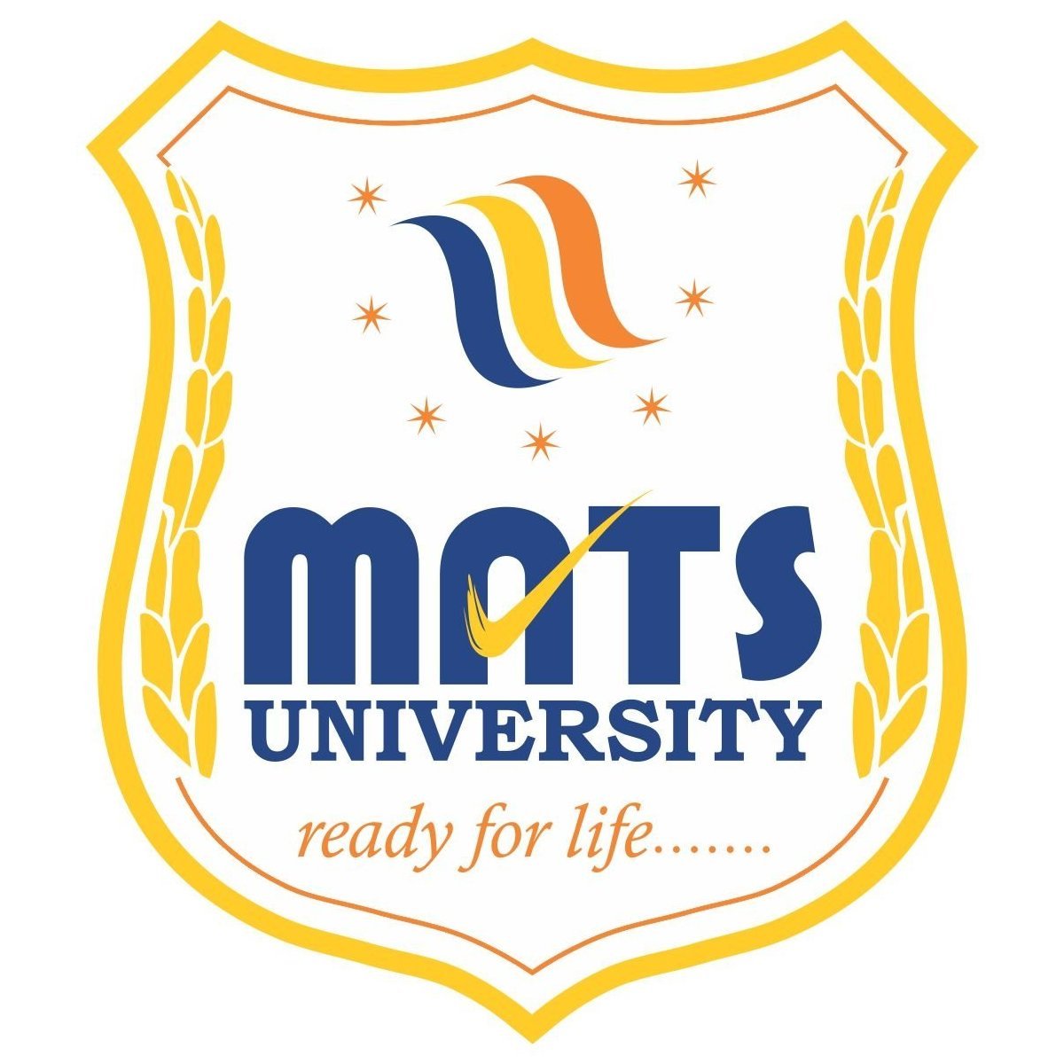MATS School of Engineering and Information Technology Raipur